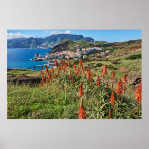 Flowers   Madeira Island Portugal Poster