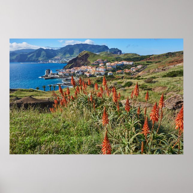 Flowers | Madeira Island Portugal Poster (Front)