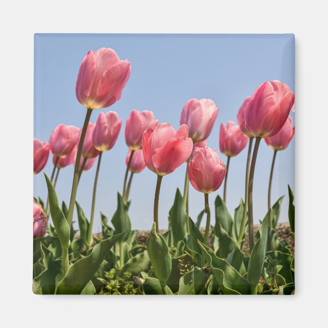 Flowers Magnet (Front)