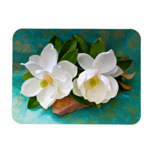 Flowers   Magnolia Flower Magnet