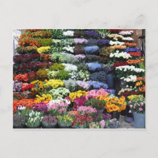 Flowers market postcard