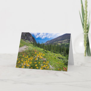 Flowers   Montana Flower Path Card