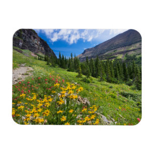 Flowers Montana Flower Path Magnet