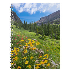 Flowers   Montana Flower Path Notebook
