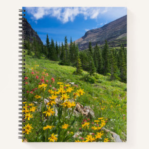Flowers   Montana Flower Path Notebook