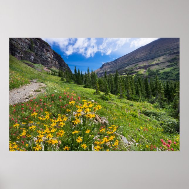 Flowers | Montana Flower Path Poster (Front)