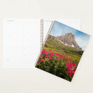 Flowers   Montana's Glacier National Park Planner