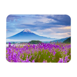 Flowers   Mount Fugi Japan Magnet