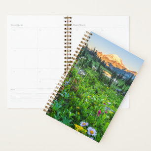 Flowers   Mount Rainier National Park Planner