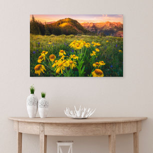 Flowers   Mountain Meadow Crested Butte Colorado Canvas Print