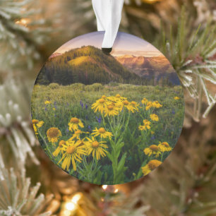Flowers   Mountain Meadow Crested Butte Colorado Ornament