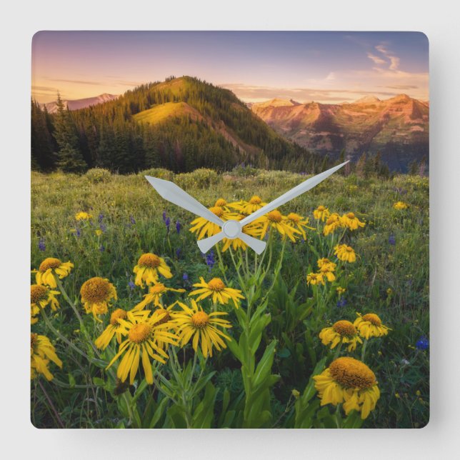Flowers | Mountain Meadow Crested Butte Colorado Square Wall Clock (Front)