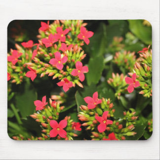 flowers mouse pad