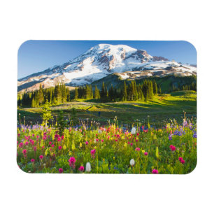 Flowers Mt. Rainier Wildflowers Magnet