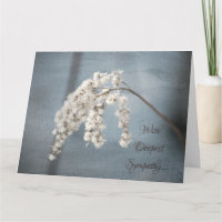 Flowers Nature Photography Flower Sympathy Big