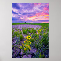 Flowers | North Dakota Red River Valley