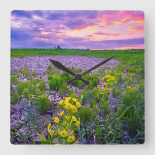 Flowers   North Dakota Red River Valley Square Wall Clock