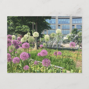 Flowers NYC Columbus Circle Fountain Postcard