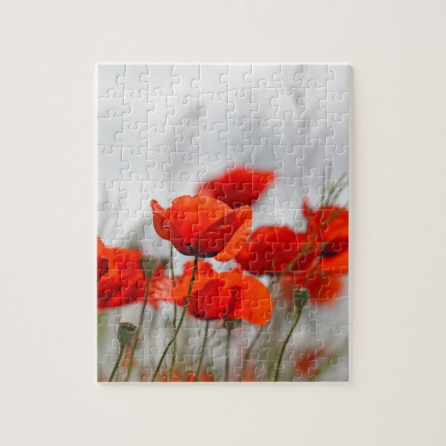 Flowers of common poppy in a field. jigsaw puzzle (Vertical)