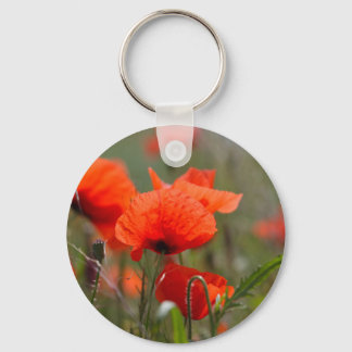 Flowers of common poppy in a field. keychain
