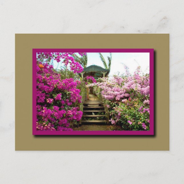 Flowers of Costa Rica 01 Postcard (Front)