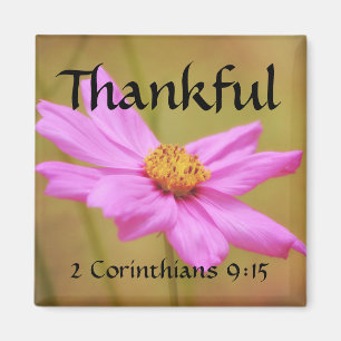 Flowers of Faith 2 Corinthians Cosmos Magnet