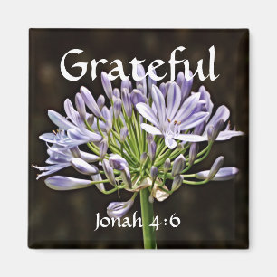 Flowers of Faith Jonah Agapanthus Magnet