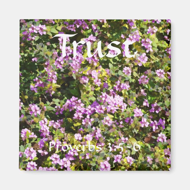 Flowers of Faith Proverbs Sage Magnet (Front)