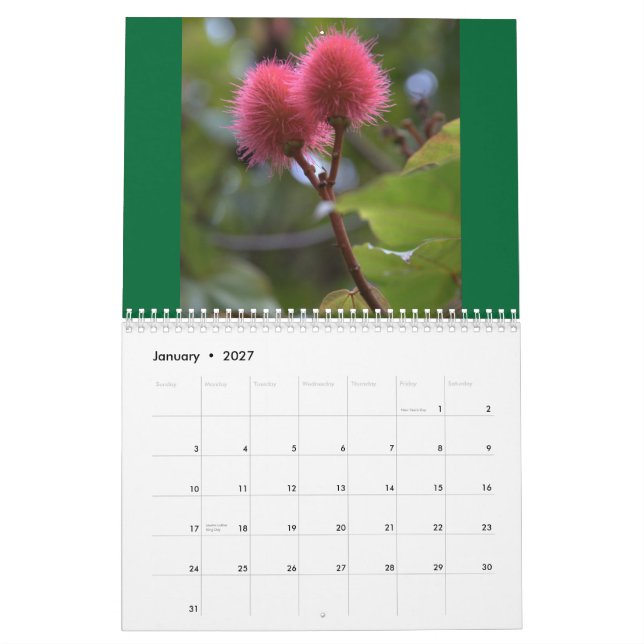 Flowers of Hawaii 2010 Calendar (Jan 2027)