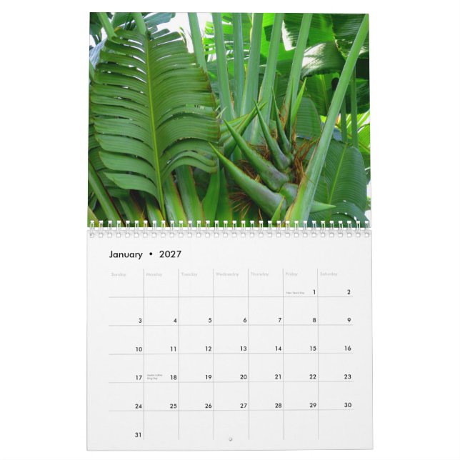 Flowers of Hawaii Calendar (Jan 2027)