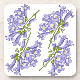 Flowers of Jacaranda Brazil Coaster