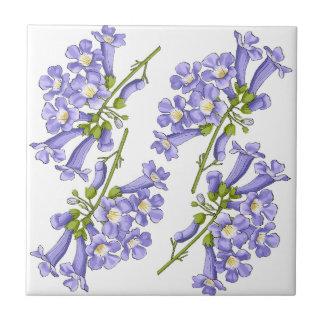 Flowers of Jacaranda Brazil Tile