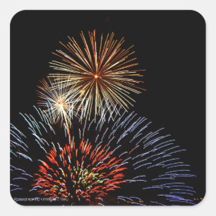 Flowers of Light Sticker