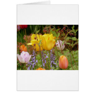 Flowers Of Tenderness
