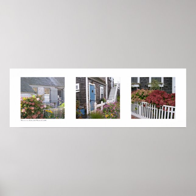 Flowers on Nantucket, Massachusetts Triptych Poster (Front)