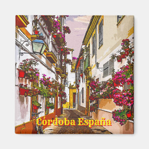 Flowers on the street. Cordoba, Andalusia, Spain. Magnet