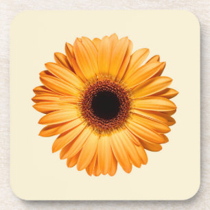 Flowers   Orange Gerbera Coaster