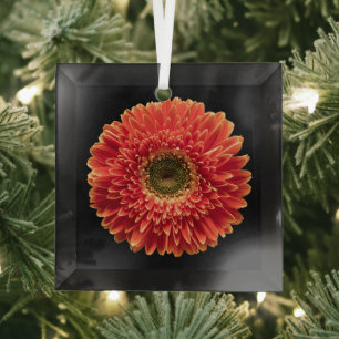 Flowers   Orange Gerbera Daisy Glass Ornament