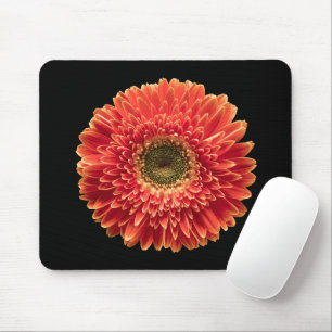 Flowers   Orange Gerbera Daisy Mouse Pad