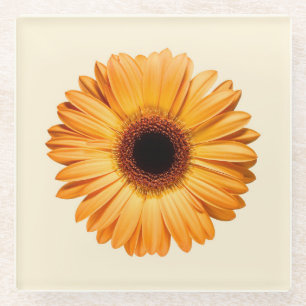 Flowers   Orange Gerbera Glass Coaster
