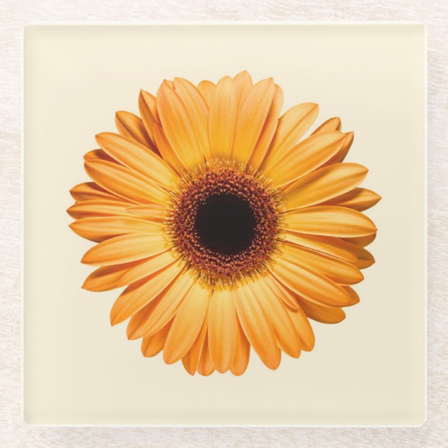 Flowers | Orange Gerbera Glass Coaster (Front)