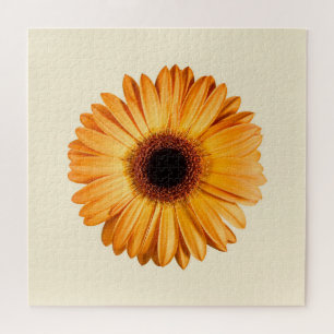 Flowers   Orange Gerbera Jigsaw Puzzle