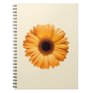 Flowers Orange Gerbera Notebook