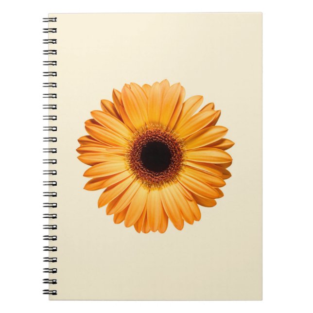 Flowers | Orange Gerbera Notebook (Front)