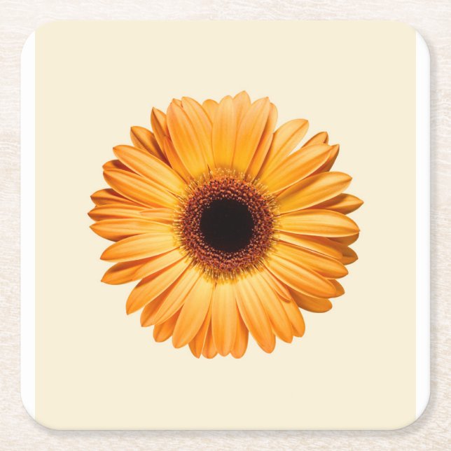Flowers | Orange Gerbera Square Paper Coaster (Front)
