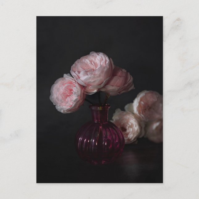 Flowers | Pale Pink Peonies in Vase Postcard (Front)