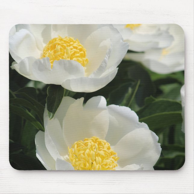 Flowers, Peonies Mouse Pad (Front)