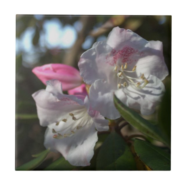 Flowers Photo Tile  (Front)