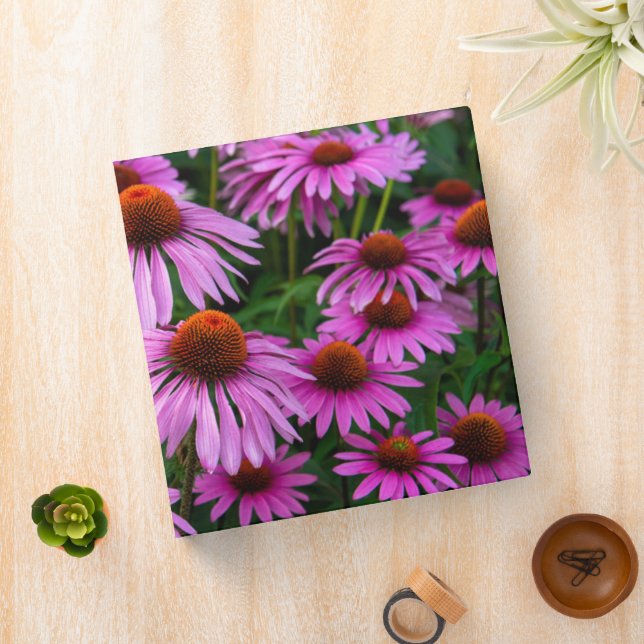 Flowers | Pink Coneflower Garden Binder (In Situ)