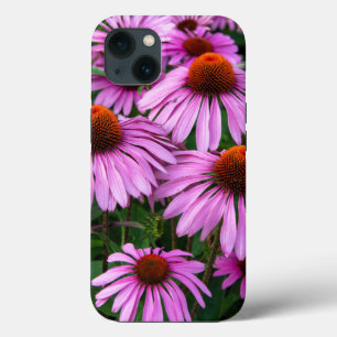 Flowers Pink Coneflower Garden iPhone 13 Case